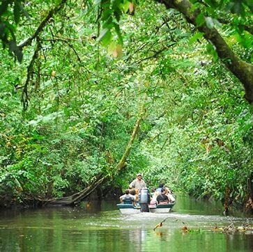 Tours & Activities · Hotel Banana Azul Puerto Viejo, Costa Rica